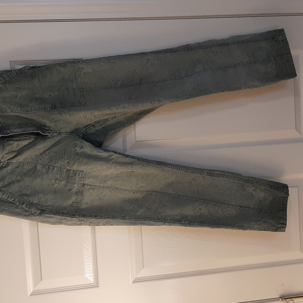 Anthropologie "The Wanderer" pants